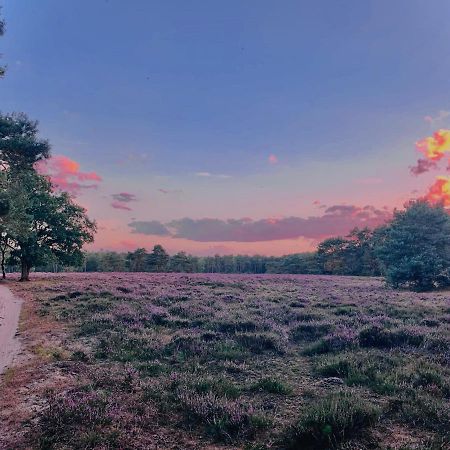 Sluwe Vos: Ontspannen In Het Bos! Otterlo Extérieur photo