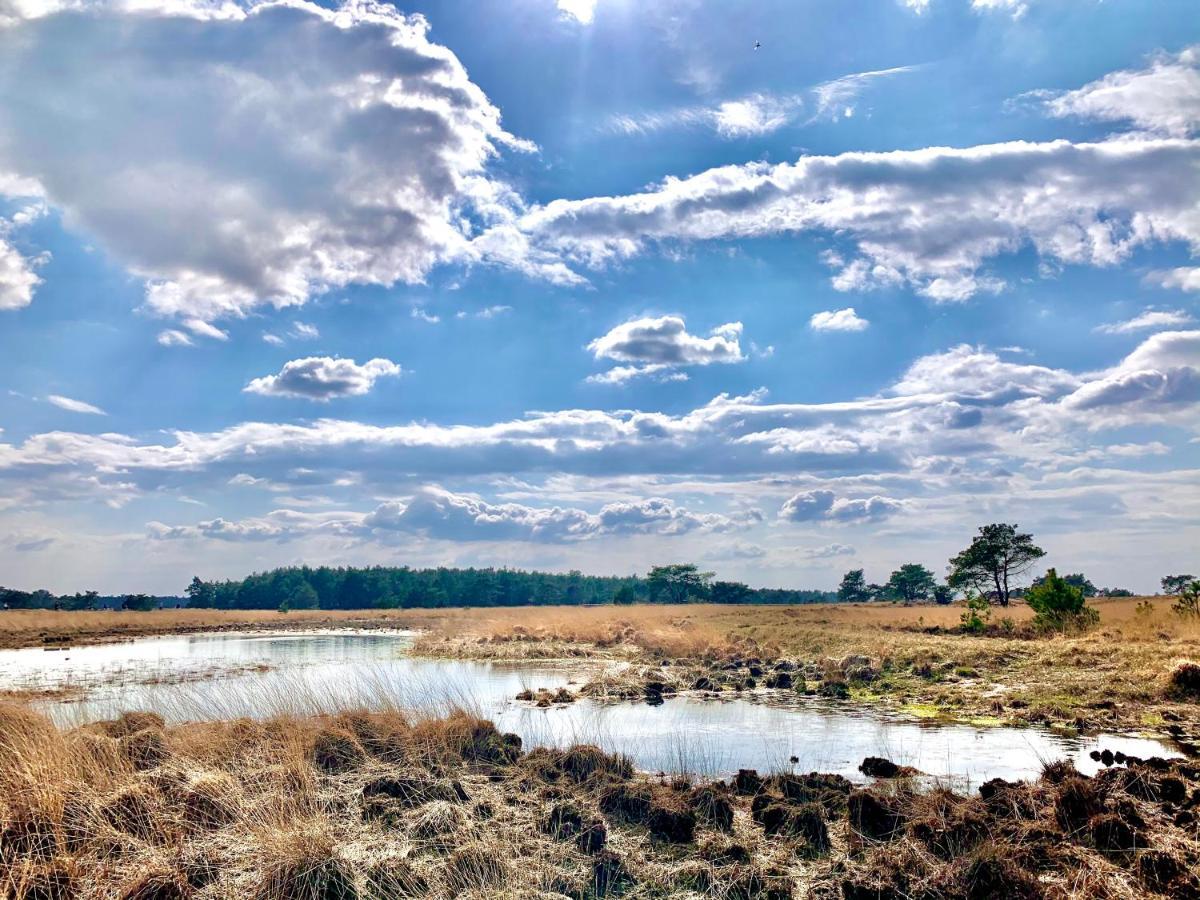 Sluwe Vos: Ontspannen In Het Bos! Otterlo Extérieur photo